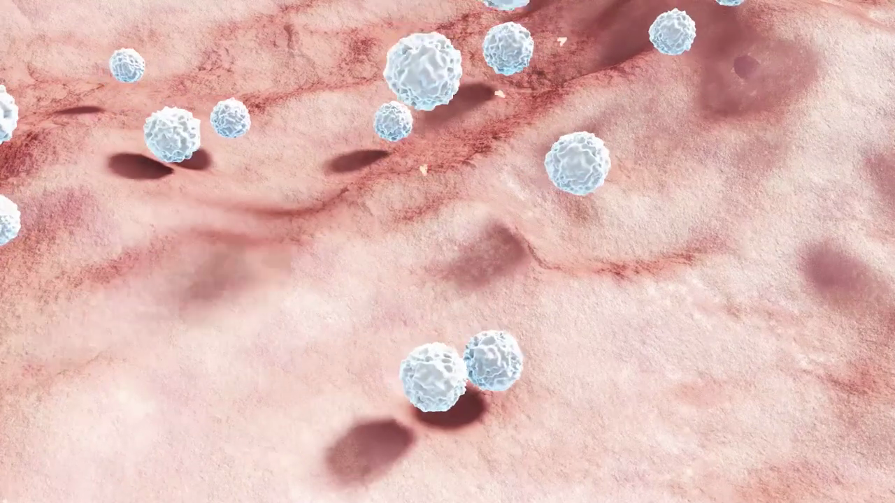 Enhancing Mucosal Immunity