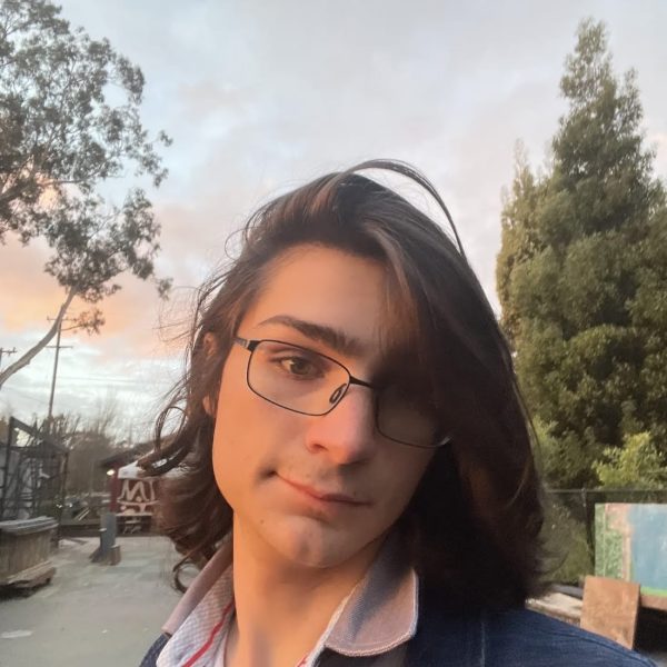 Marcy Mazin, a undergraduate student working in the lab